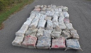 Bags of marijuana seized from raid